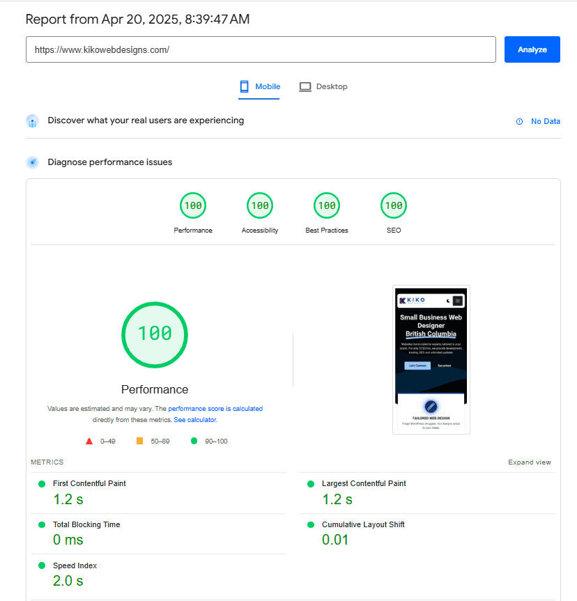 High-performance custom website development